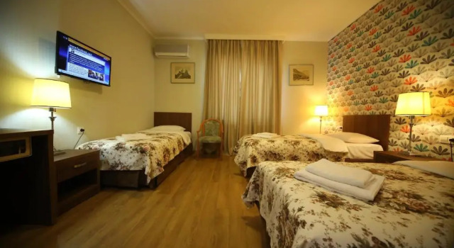 Номер Standard Martvili Palace