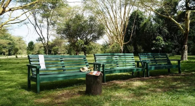 Номер Standard Siana Springs Tented Camp