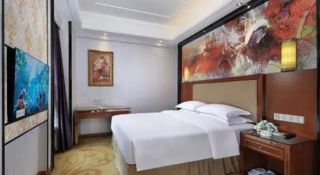 Семейный люкс Vienna Intemational Hotel( Ming Xiu Road Subway Station)