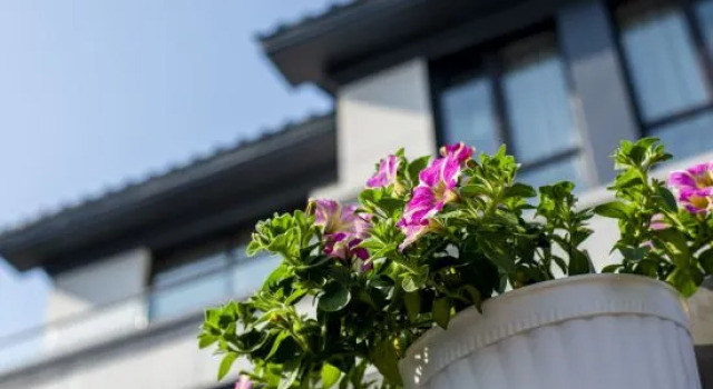 Zhujiajian Tongyutang·Slow Life Seaview Homestay (Dongsha Xiaowu Shitang Branch), Prenota Hotel Hotel a Zhoushan con piscina, Piscina