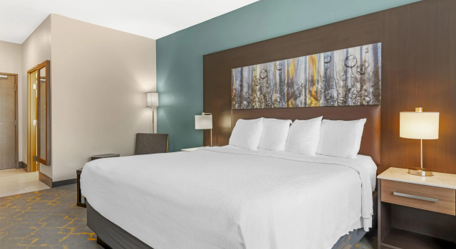 Двухместный номер Standard Best Western Plus Isanti
