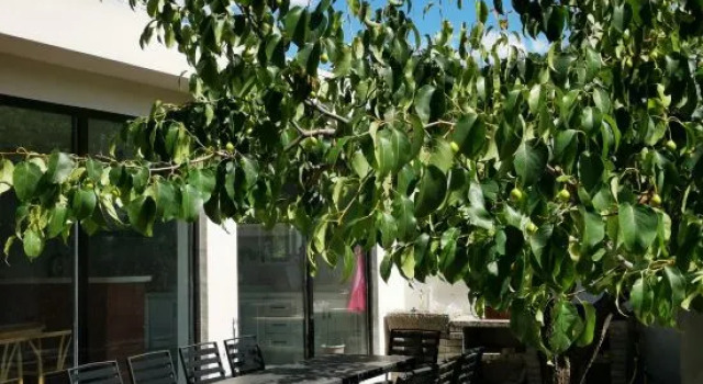 Yuke Homestay (Jingdong Grand Canyon Branch), Book Hotel Hoteller i Beijing Province med parkering, Parkering