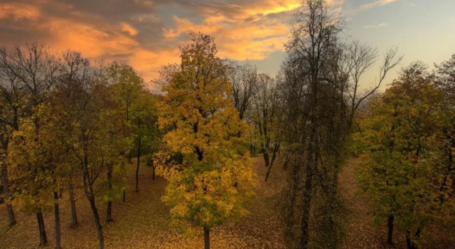 Номер Standard Radisson Blu Park Hotel, Oslo