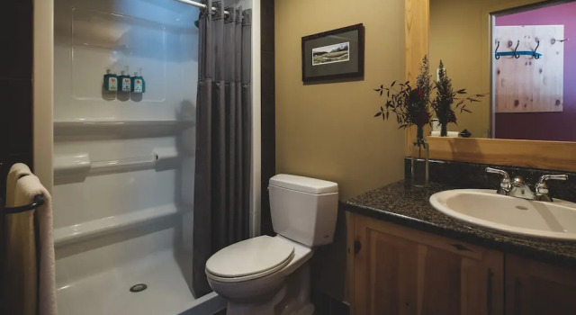 Номер Economy Mount Engadine Lodge