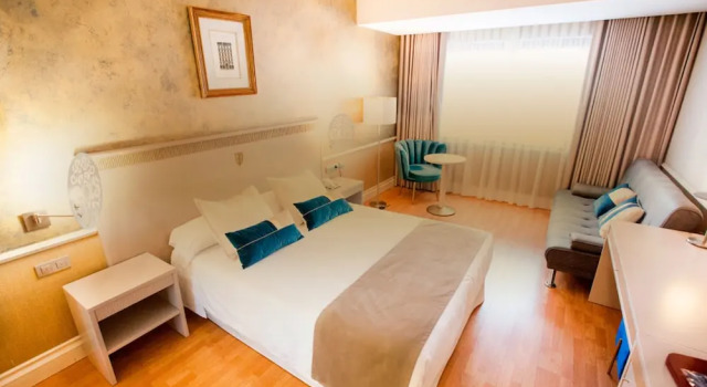 Двухместный люкс Hotel Alfonso VIII