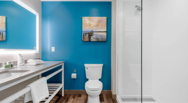 Двухместный люкс Cambria Hotel Mount Pleasant - Charleston