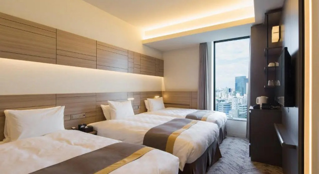 Трёхместный номер Superior Nihon Seinenkan Hotel