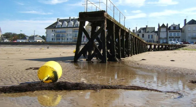Les Palmiers gite 7 personnes plages du débarquement