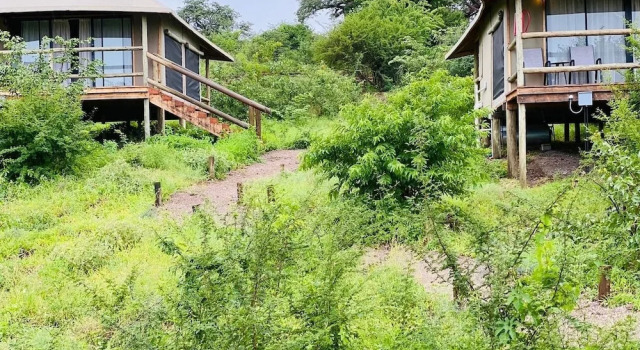 Номер Executive Xhabe Safari Lodge - Chobe