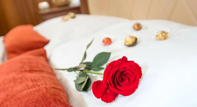 Номер Standard Hotel & Restoran Dvorac Gjalski