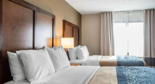 Четырёхместный люкс Comfort Inn The Pointe