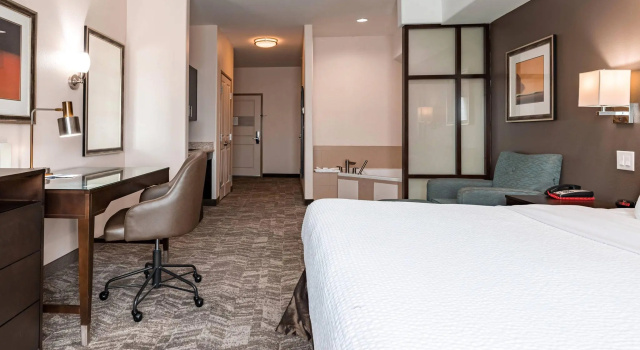 Двухместная студия Springhill Suites by Marriott Waco Woodway
