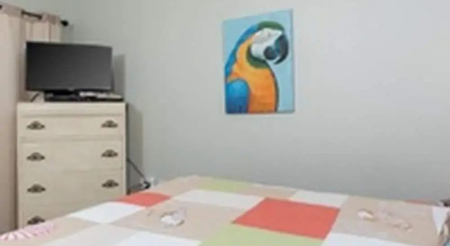 Номер Standard Phoenix on the Bay by Brett Robinson Vacations