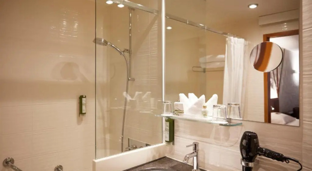 Трёхместный номер Standard Hotel Adler Zürich