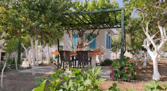 PERIVOLI 4-CHORA(5min away from the center by car)