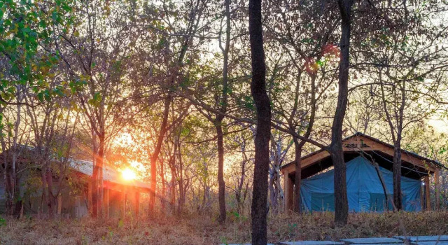 Luxus Doppel Zimmer mit Blick auf den Park Daga Camp