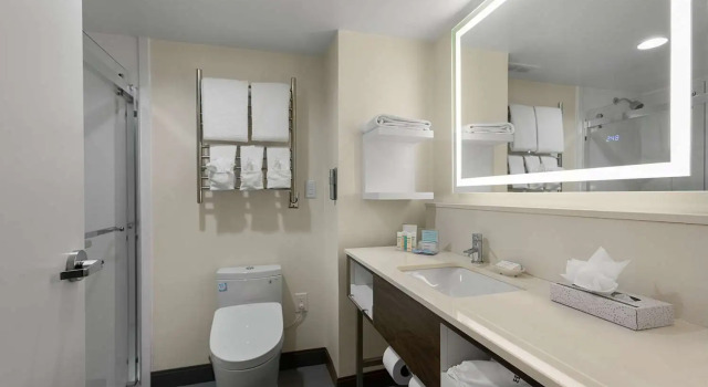 Четырёхместный номер Standard Hampton Inn Greenville/Travelers Rest