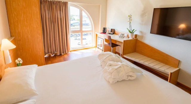 Двухместный номер Premium Hotel Ibis Firenze Nord Aeroporto