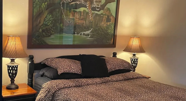 Люкс Belize Budget Suites