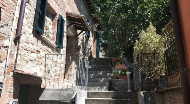 Central Lovely House