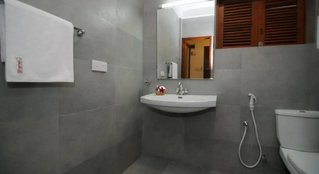 Трёхместный номер Deluxe Hotel Shanelo