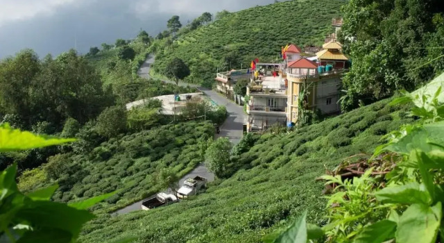Traditional Hotel And Restaurant, Prenota Hotel Kurseong West Bengal