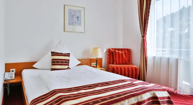 Одноместный номер Deluxe с балконом Hotel Neckarlux