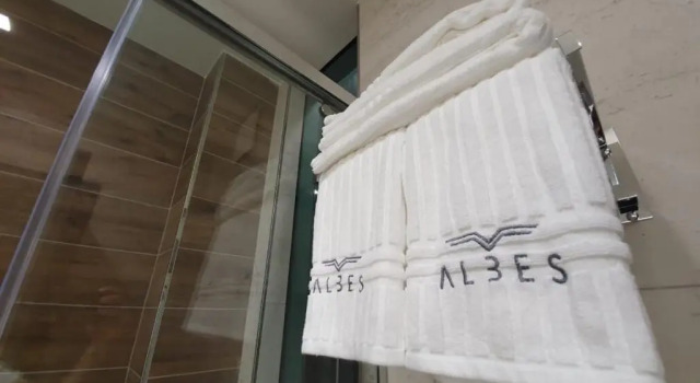 Двухместный номер Deluxe Albes Hotel