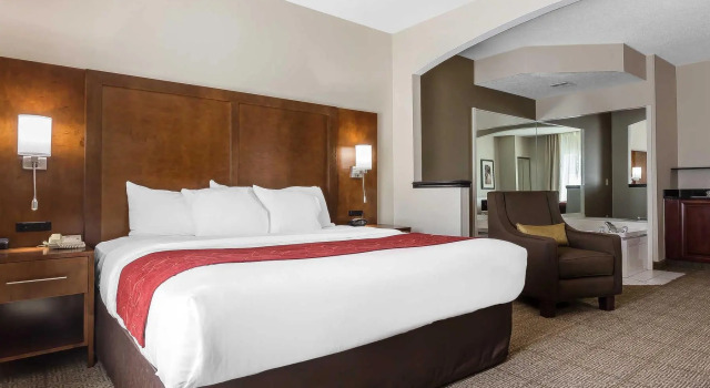 Номер Standard Comfort Suites Salisbury I-85