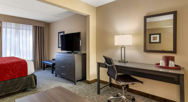 Двухместный номер Standard Comfort Suites Alpharetta-Roswell - Atlanta Area