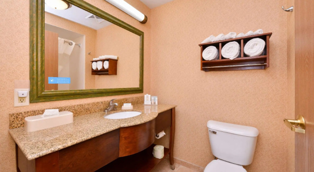 Четырёхместный номер Standard Hampton Inn Elkhart