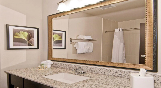 Четырёхместный номер Executive Holiday Inn Austin Airport by IHG