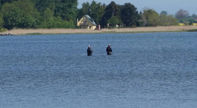 Коттедж с 2 комнатами Haus TimpeTe am Breetzer Bodden