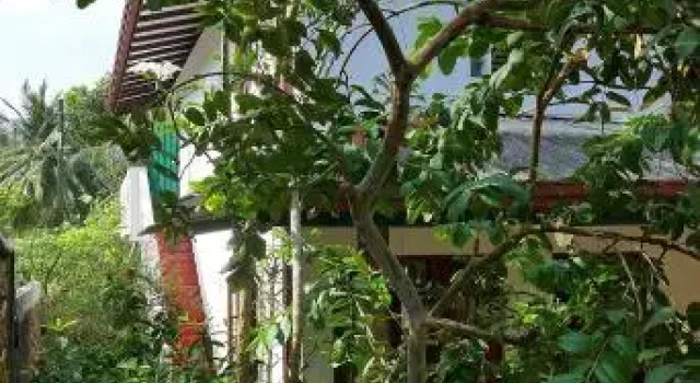 Dream House, Забронировать Апартаменты/квартира Додандува Округ Галле