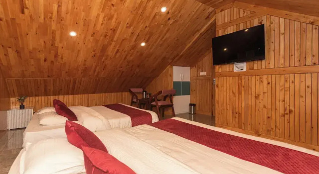 Люкс Tara Van - Best Mountain View Hotel in Dharamkot