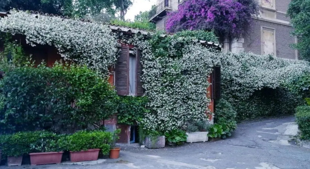 Апартаменты Il piccolo borgo di Trastevere