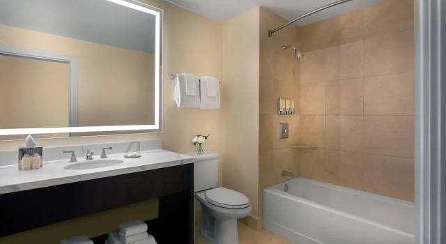 Четырёхместный номер Deluxe The Royal Sonesta Chase Park Plaza St Louis
