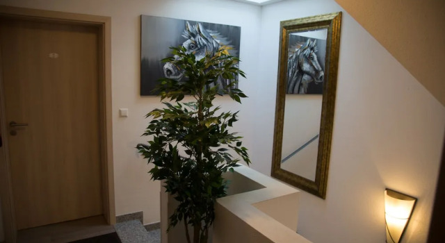 Одноместный номер Standard Hotel Zur Dorfschänke