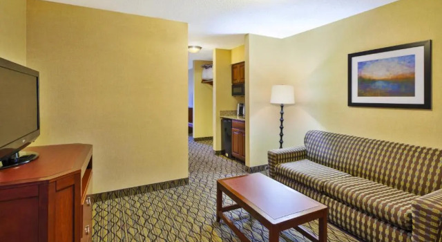 Люкс c 1 комнатой Holiday Inn Express Hotel & Suites - Belleville Area by IHG