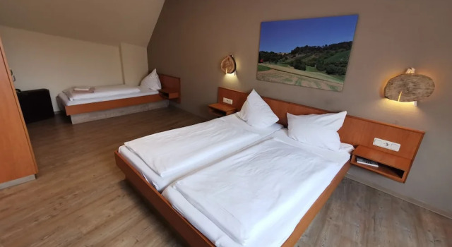 Номер Standard Gasthaus & Hotel Drei Lilien