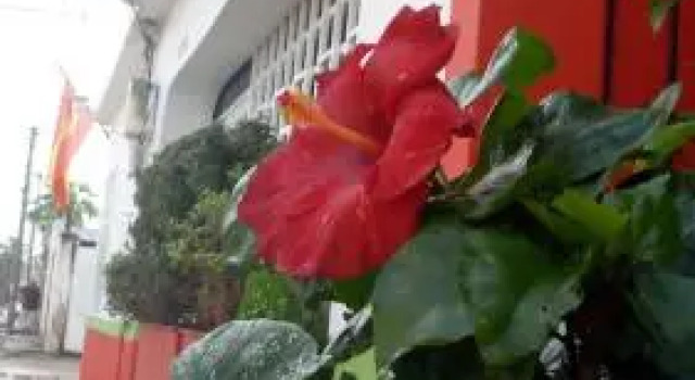 Caribbean Hostel, Book Hostel / Vandrerhjem Hostels i Riohacha, Hostel / Vandrerhjem