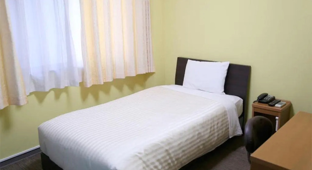 Одноместный номер Tokyo Ueno New Izu Hotel