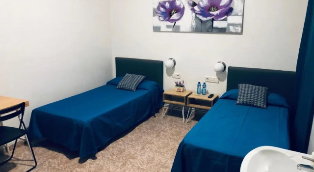 Двухместный номер Standard Hostal Carlos III