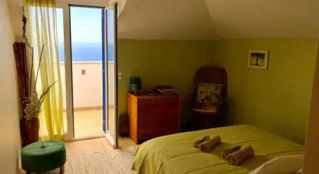 Indigo Star House