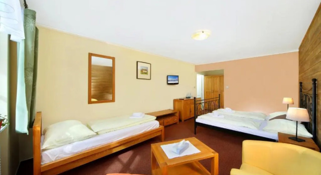 Номер Superior Hotel Erika