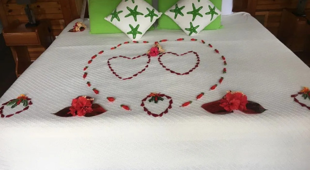 Turtle Beach House, Rezerwuj Hotel Hotele 3-gwiazdkowe w Bluff Beach, 3*