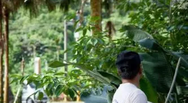 Qing Song B&B