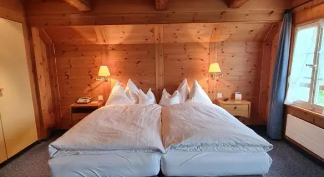 Двухместный номер Standard Дуплекс Hotel Friedheim Weggis