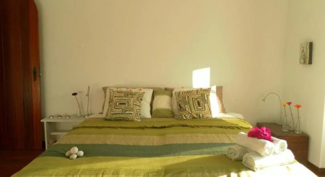 Lemon Tree Hostel, Book Hostel Hostels in Oeste, Hostel