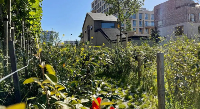 Люкс Superior vondice hotel